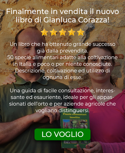 Il libro di Gianluca Corazza - Piante Alimentari Insolite - 493 x 600-1.jpg